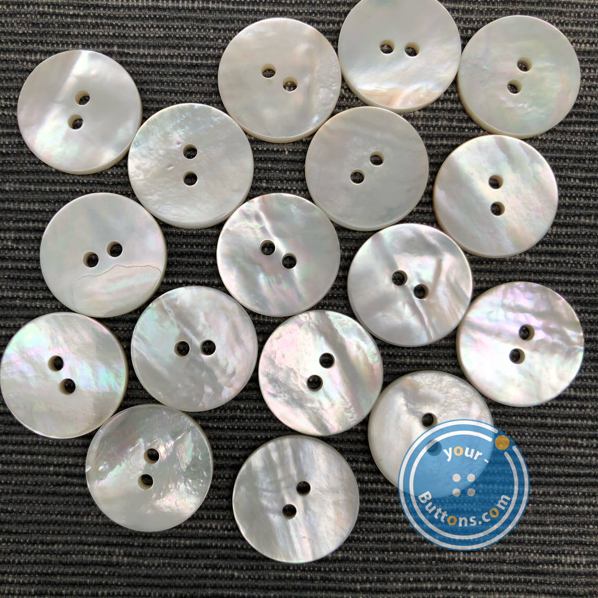 White Shell Button (3 pieces set) 9mm - 23mm White Mother of Pearl shell Button – Your Buttons
